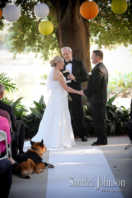 Best Winter Park Civic Center Wedding Photos - Sandra Johnson (SJFoto.com)